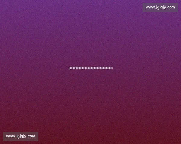 湖人对阵掘金第四场录像解析詹眉拼尽全力却难挡约基奇统治表现